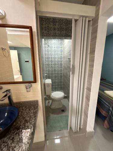 a bathroom with a toilet and a sink and a mirror at Atelier- Bohardilla a 2 cuadras de la plaza principal in Salta