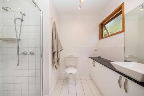 a bathroom with a toilet and a sink and a shower at TJ's Tree House with Ocean Views in Cape Schanck