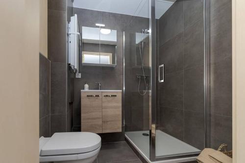 La salle de bains est pourvue de toilettes et d'une douche en verre. dans l'établissement Appartement d'une chambre avec terrasse et wifi a Haguenau, à Haguenau