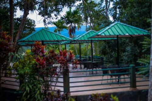 Zahrada ubytování Rainforest Lodge, Deniyaya singheraja