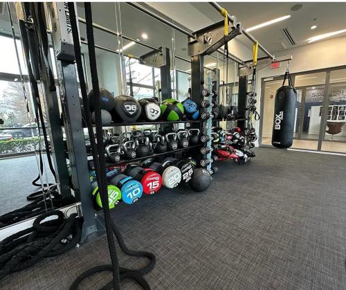 Fitness centrum a/nebo fitness zařízení v ubytování Uptown Luxury Suite Near It All