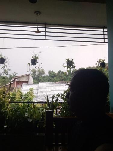 a person looking out of a window at plants at Guest house TBE C9 in Tambakaji
