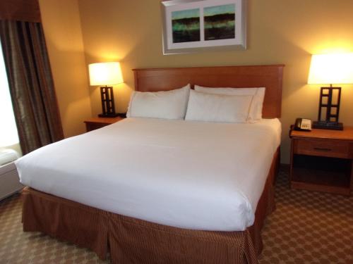 a large bed in a hotel room with two lamps at Holiday Inn Express Hotel & Suites Chicago West Roselle by IHG in Roselle