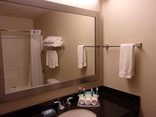 a bathroom with a sink and a mirror at Holiday Inn Express Hotel & Suites Chicago West Roselle by IHG in Roselle