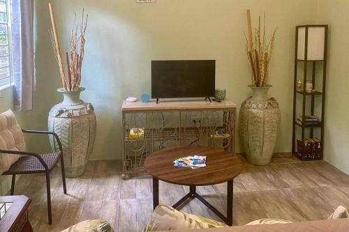 a living room with two large vases and a television at Zen Cove w/rental vehicle access in Gros Islet