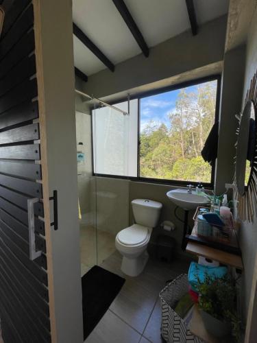 瓜爾內的住宿－Villa Jara, con vista al bosque + Jacuzzi，一间带卫生间、水槽和窗户的浴室