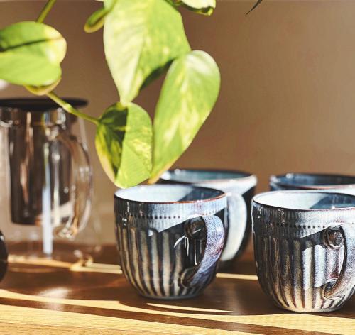 a group of blue and white cups with a plant in them at The Baker's Bed - Private 2 King BR Guest Suite in Orange
