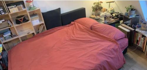 a bedroom with a bed with a red cover at Sous les toits de Paris shared place in Paris