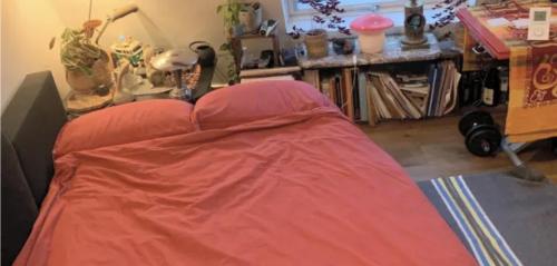 a room with a bed with a red cover at Sous les toits de Paris shared place in Paris