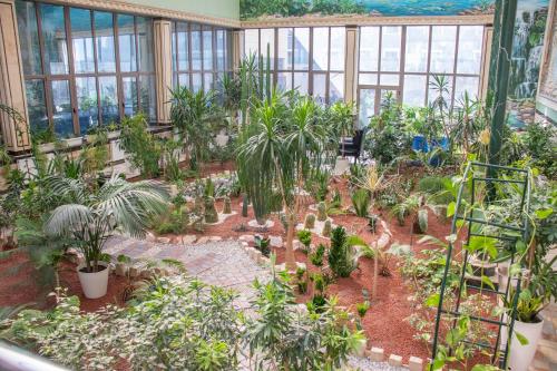a greenhouse full of plants in a room with windows at Garden Plaza Bukhara in Bukhara
