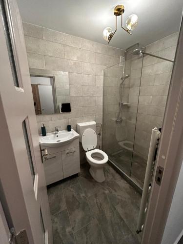 a bathroom with a shower and a toilet and a sink at Cozy Home Studio in Petroşani