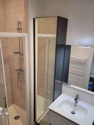 a bathroom with a sink and a shower with a mirror at Le Studio in Saint-Pierre-Montlimart