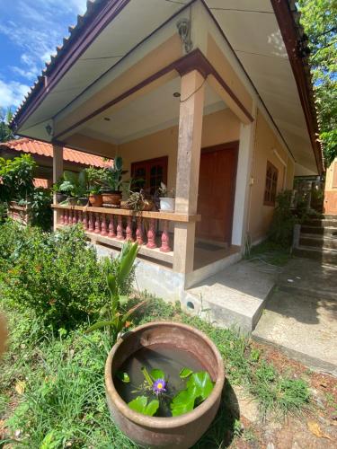 Κήπος έξω από το Elephant bungalow at Ya Nui beach
