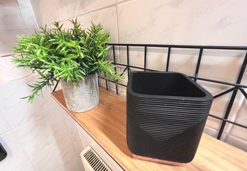 a black trash can sitting on a wooden table with two plants at Ferienwohnung "Bergzeit" in Bad Wiessee