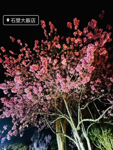 a tree with pink flowers in the dark at Shi Bi Hotel in Gukeng