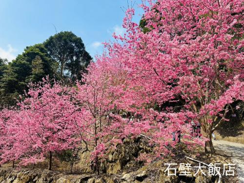 two trees with pink flowers on a stone wall at Shi Bi Hotel in Gukeng