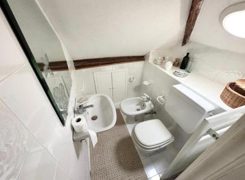 a small bathroom with a toilet and a sink at Casa Parasio 1700 in Imperia