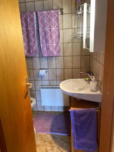 uma casa de banho com um lavatório e uma banheira em Chalet Le Petit Foyer em Salvan
