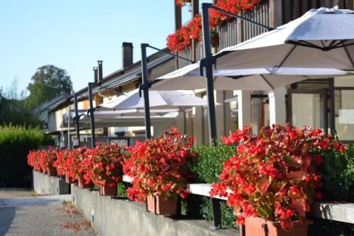 AUBERGE d'ARANC – Photos 4