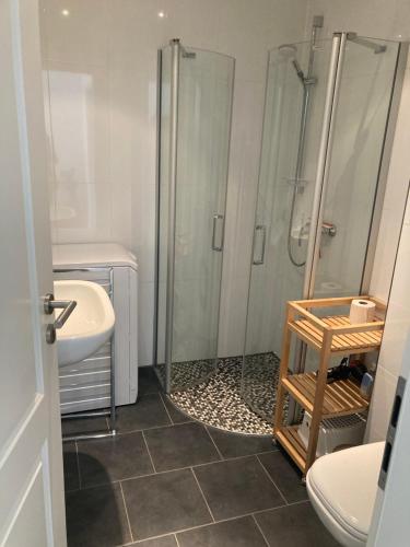 La salle de bains est pourvue d'une douche, de toilettes et d'un lavabo. dans l'établissement Moderne Ferienwohnung an der Ostsee im Haus Leuchtfeuer, à Diedrichshagen