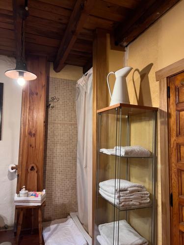 a bathroom with a shower and a shelf with towels at La casa del río in Alameda del Valle