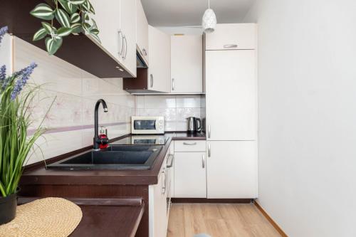 Kuchyňa alebo kuchynka v ubytovaní Jonagold Apartment Metro Raclawicka