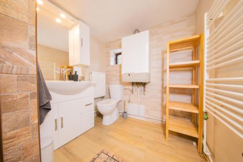 uma casa de banho com um lavatório branco e um WC. em Chaloupka Kouty em Loučná nad Desnou