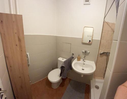 ein kleines Bad mit WC und Waschbecken in der Unterkunft Útulný byt blízko centra in Koliba