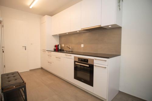巴塞爾的住宿－Modern apartment in Basel with free BaselCard，厨房配有白色橱柜、水槽和炉灶。