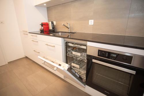 una cucina con lavastoviglie e lavandino di Modern apartment in Basel with free BaselCard a Basilea