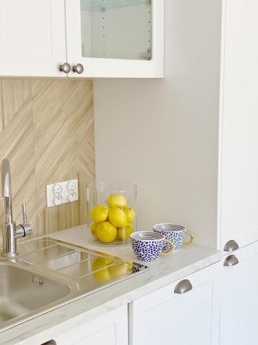 a kitchen counter with a bowl of lemons on it at Domki Balticana in Władysławowo