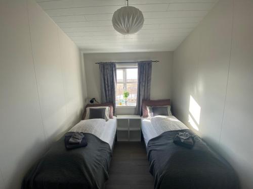 a row of beds in a room with a window at Skalarimi - Country House in Selfoss