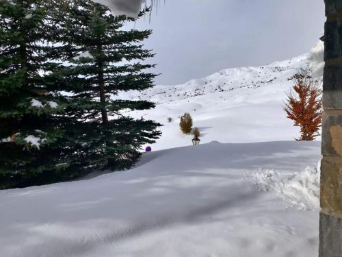 a snow covered slope with trees and a mountain at Chalet Los Ibones - Lodge Formigal in Formigal