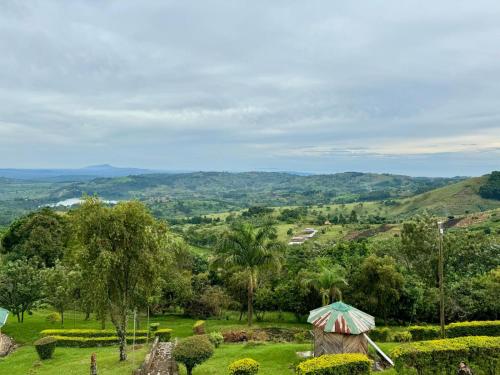 a view of a garden with an umbrella at Top of the World Lodges Fort Portal in Fort Portal