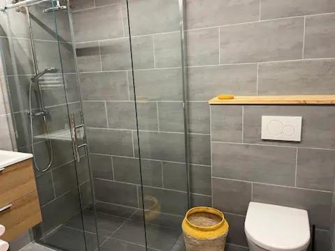 bagno con doccia in vetro e servizi igienici di Appartement Rosa au coeur des 4 Vallées a Conthey