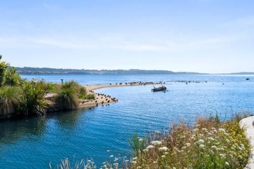 a body of water with a group of birds on the shore at Ngongotaha Lakeside Home in Rotorua