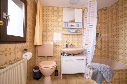 een kleine badkamer met een toilet en een wastafel bij Ferienwohnungen KATI in Scheidegg
