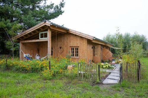 una pequeña casa de madera en un campo de flores en Best Boerderij B&B, en Best