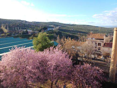 a view of a town with purple trees and vineyards at Cazorla LIVE in Cazorla