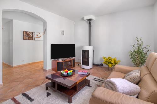 a living room with a couch and a tv at Villa Le Saphir - Piscine chauffée et 3 chambres in Le Thoronet