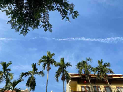 a jet trail in the sky above palm trees at Villa Orchid Garden Riverside Hoi An in Hoi An