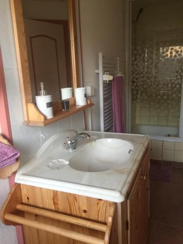 a bathroom with a white sink and a mirror at Appartement Chalet France in Salvan