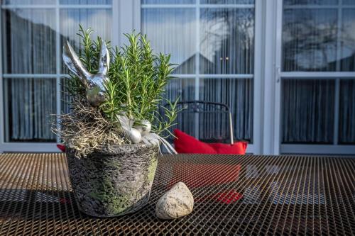 a potted plant sitting on a table next to a window at Ferienhaus Seeschwalbe, FeWo Vermittlung Nordsee in Dangast