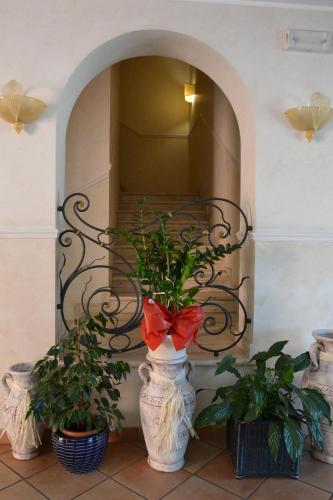 a vase with flowers in it next to two plants at Villa Luigi Hotel & Restaurant Nuova gestione in Martinsicuro
