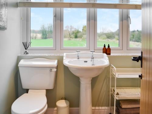 a bathroom with a toilet and a sink and two windows at Cartwheel Cottage in Hayton