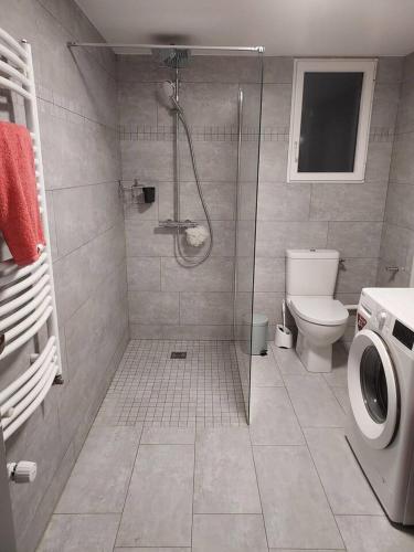 a bathroom with a shower and a toilet at Appartement d'une chambre avec terrasse et wifi a Saintry sur Seine in Saintry-sur-Seine