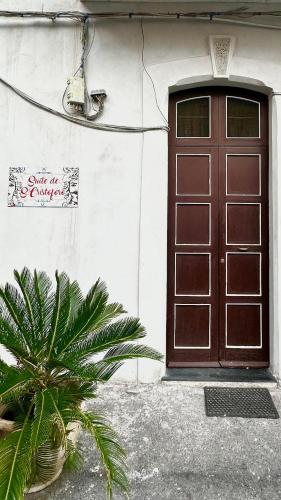een deur van een gebouw met een plant ervoor bij Suite De San Cristoforo N1 in Catania