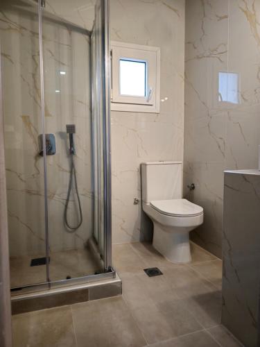 ソゾポリにあるSunny coast halkidiki!のバスルーム(トイレ、ガラス張りのシャワー付)