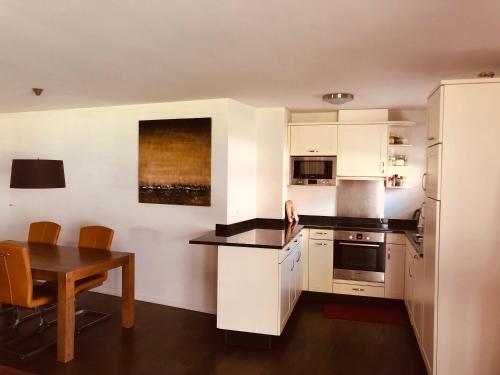 Kuchyň nebo kuchyňský kout v ubytování Resort Walensee 45