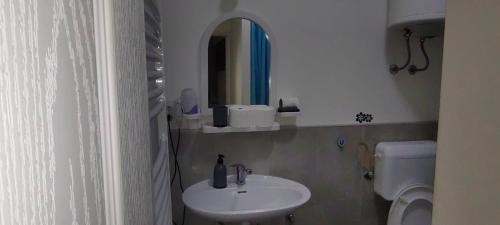 Mali Mokri Lug的住宿－DIVLJI RAJ Studio apartman 35m2，一间带水槽、卫生间和镜子的浴室
